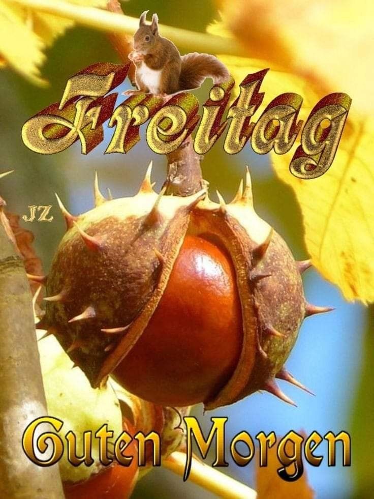 Pin von Gaby Spieltundbastelthier auf Freitag | Pita Bloom