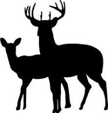 image result for picture