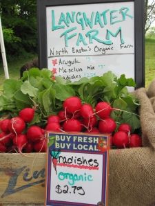Langwater Farm Easton Ma Farm Farm Stand Local Farm
