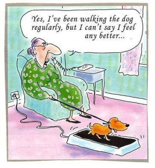 Dog Walking Funny Cartoons Dog Walking Funny Pictures