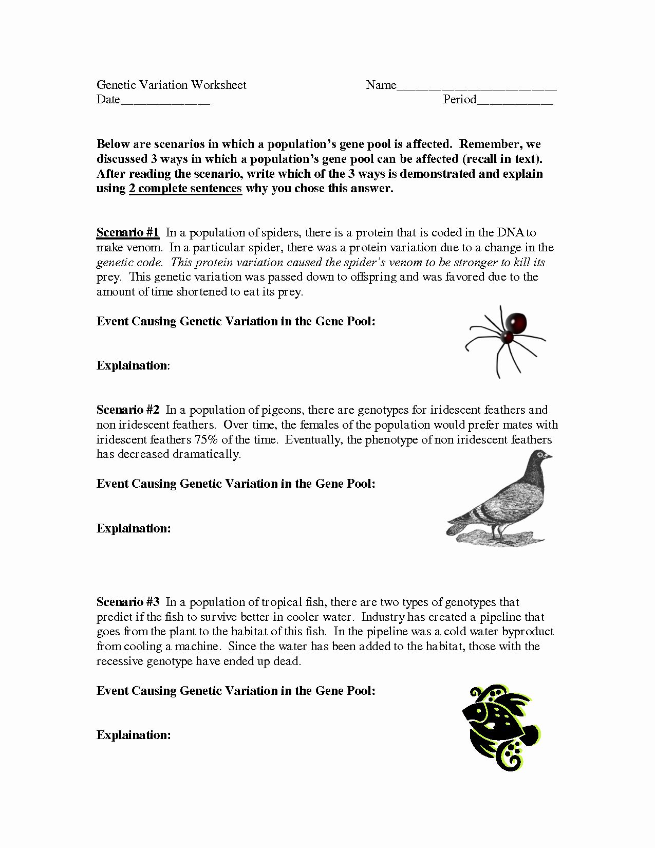 50 Genetics Worksheet Answer Key | Chessmuseum Template Library Density
