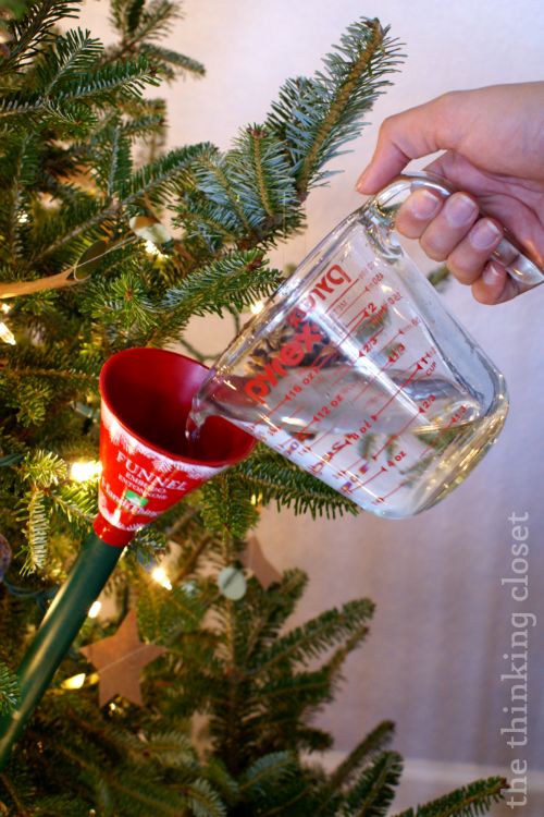 should i spray my christmas tree with water should i spray my christmas tree with water