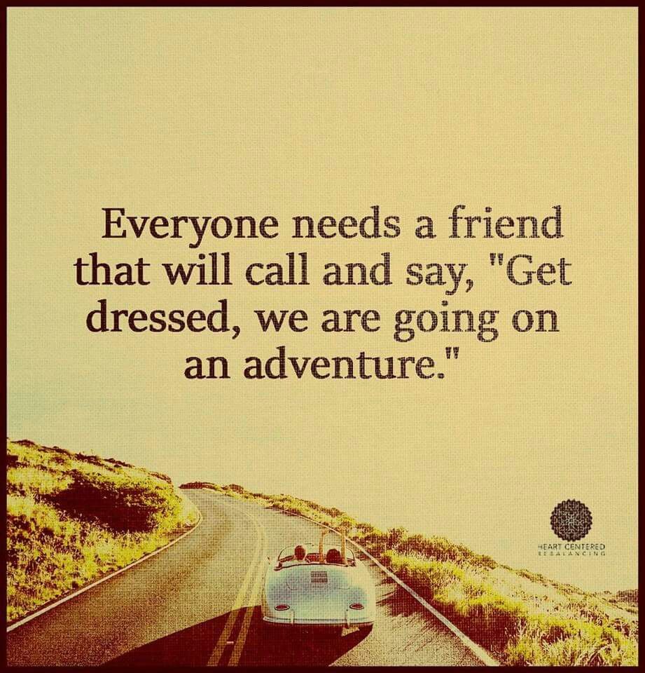 Everyone needs a friend... | Friends quotes, Sayings, Best friend quotes