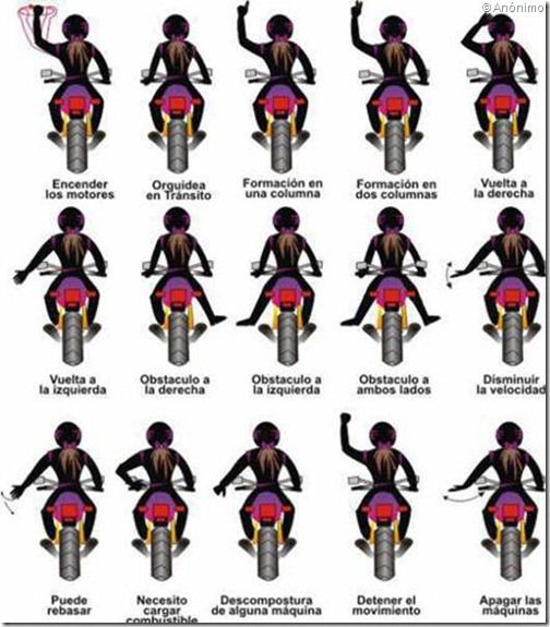 PoluxCriville-Anonimo-gestos-moteros Motorcycle Tips, Futuristic Motorcycle, Moto Bike, Motorcycle Outfit, Motorcycle Tattoos, Suzuki Motorcycle, Carros Lamborghini, Harley Davidson, Mtb Bike Mountain