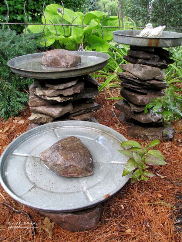 How To Keep My Cat Fountain Water From Turning Green How To Keep My Cat Fountain Water From Turning Green