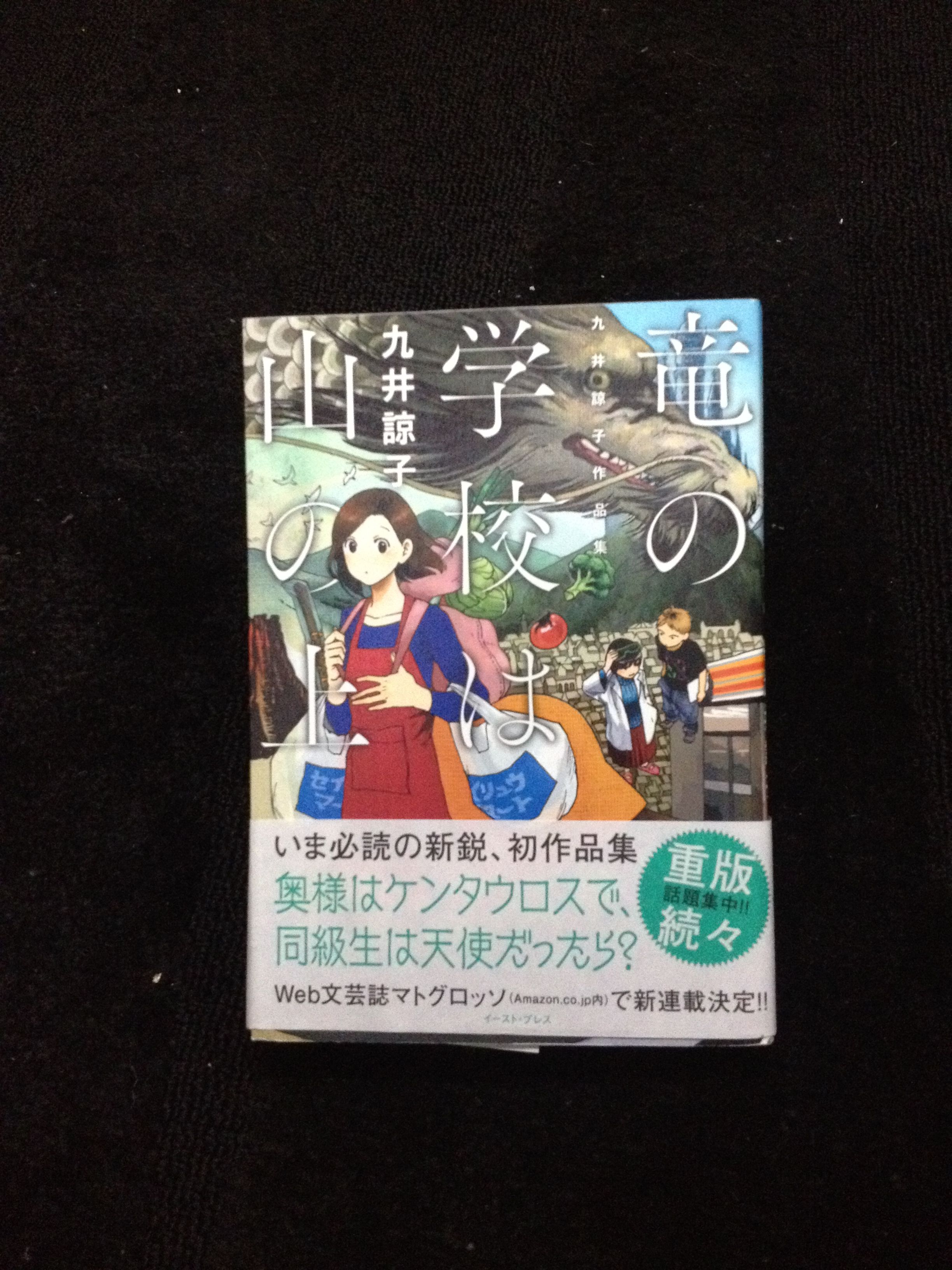 竜の学校は山の上 九井諒子 Book Cover Art Cover 竜の学校は山の上 九井諒子 Book Cover Art Cover