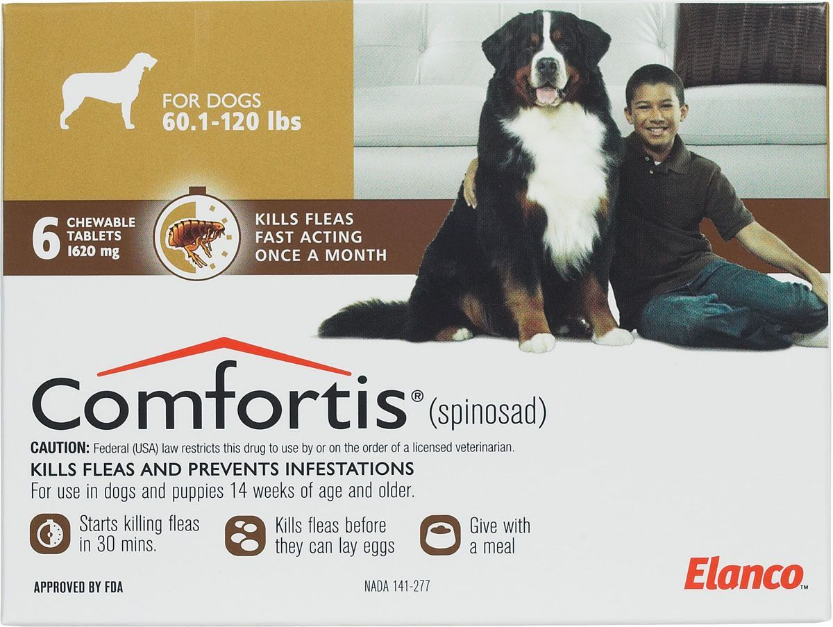 comfortis minimum age