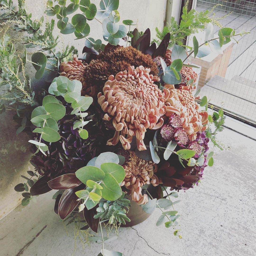 人間も冬眠できたらいいのに Flower Boisdegui Allgoodflowers Arrangement Bouquet Wedding Flowerarrangement Flowerstagram Flowershop アレンジメント ブーケ 北浜 11月 Flower Shop Plants 人間も冬眠できたらいいのに Flower Boisdegui Allgoodflowers Arrangement Bouquet Wedding Flowerarrangement Flowerstagram Flowershop アレンジメント ブーケ 北浜 11月 Flower Shop Plants