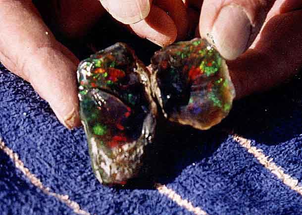 Virgin Valley Opals - Humboldt County, Nevada USA