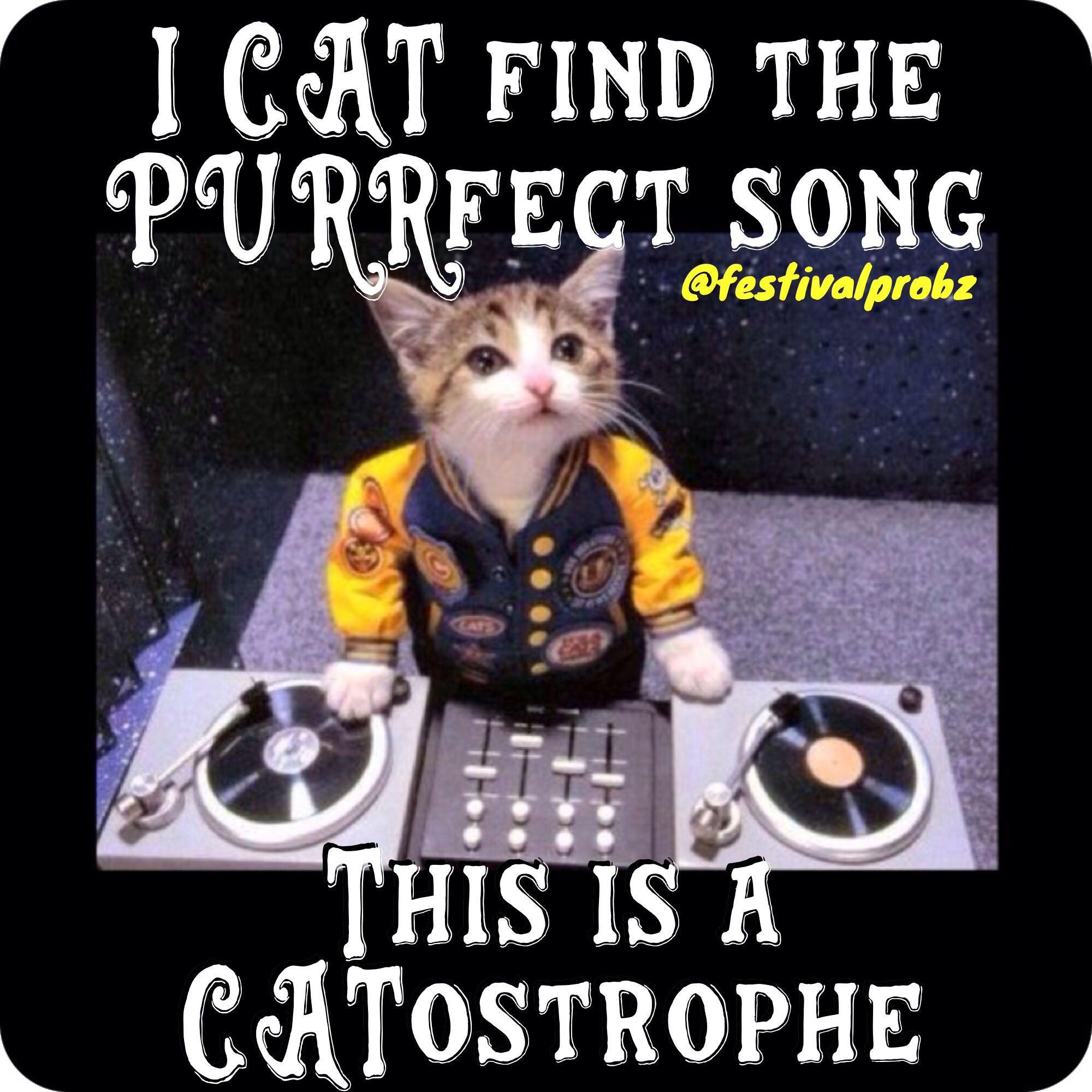 #cat #kitty #dj #edm #rave #puns #memes | Dj kitty, Cats, Cats and kittens