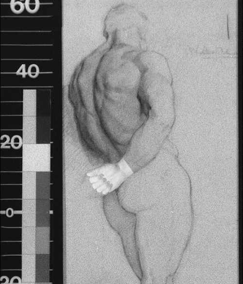 surreal-nude-male-has-sex