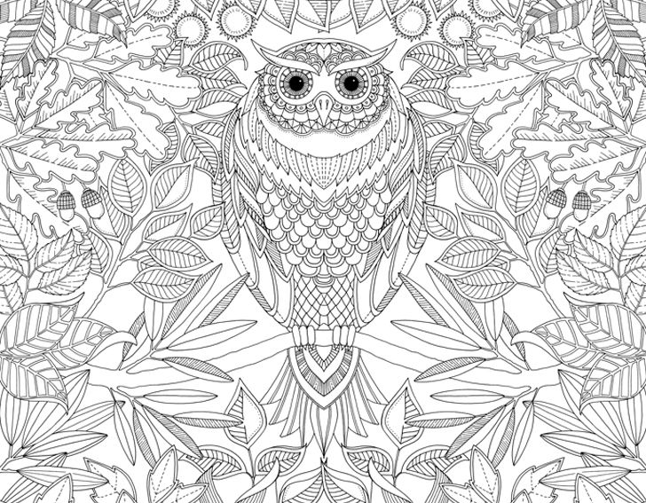 Green Design Eco Sustainable Johanna Basford Coloring Books For Adults