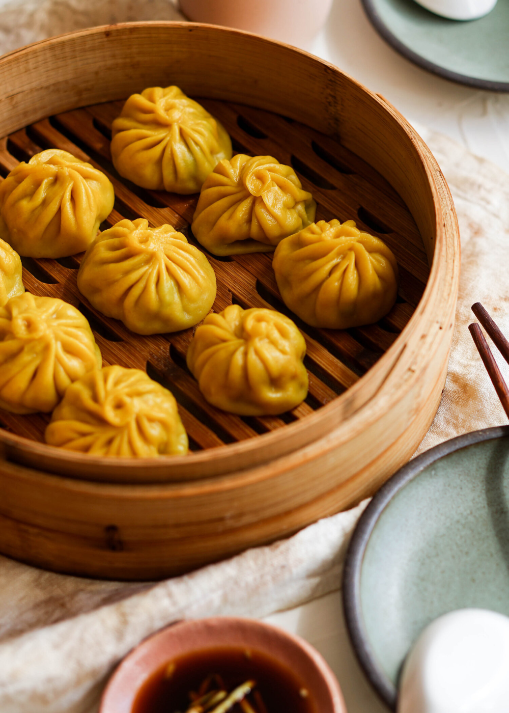 Chicken Noodle Soup Dumplings