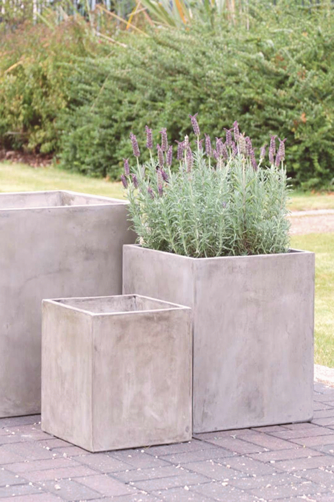 large concrete planters large concrete planters