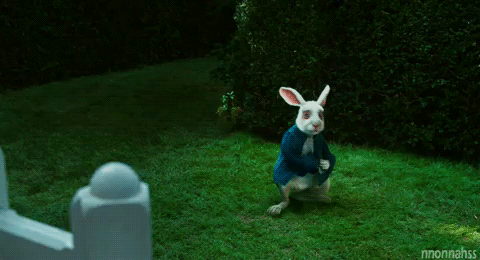 Alice in Wonderland Animated GIFs | Alice in wonderland animated, Alice's adventures in wonderland, Adventures in wonderland