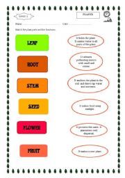 Plants math worksheets equations