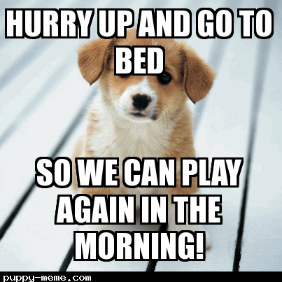 cute puppy puppies! pinterest animal fc52a32af62bccc55b6a667d88fc1f2e cute puppy puppies! pinterest animal