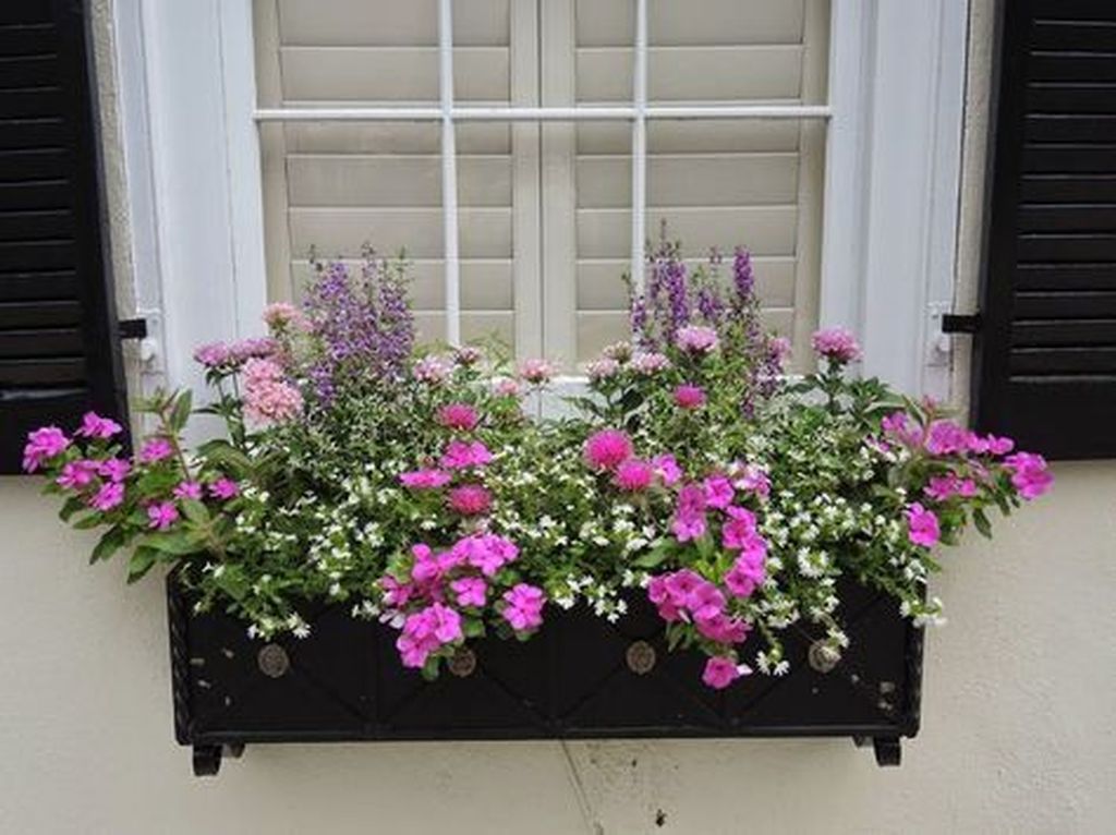 Gorgeous Window Planter Box Ideas To Dress Up Your Windows Window | My ...