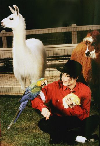 MJ with animals #michaeljackson