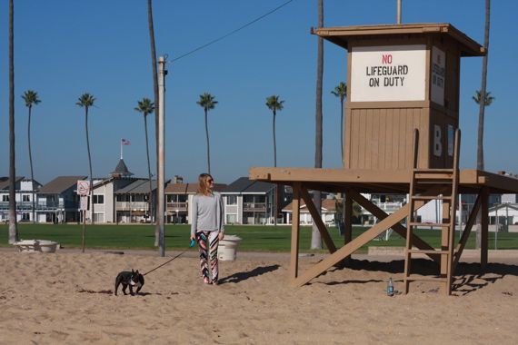 The French Bulldog Goes To The Beach Fashion Lifestyle Blog