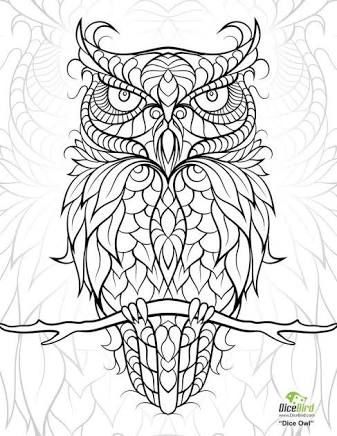 Pin on colouring pages Pin on colouring pages