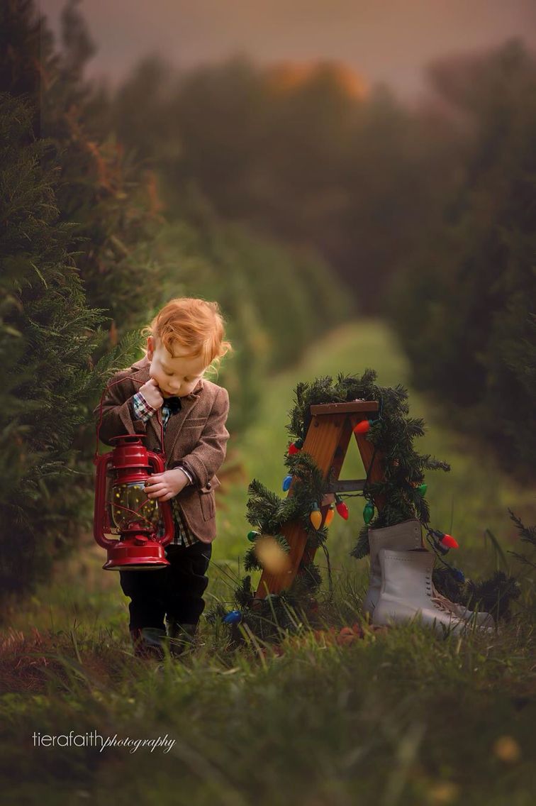 Christmas photo | Christmas tree farm photo shoot, Photo backdrop