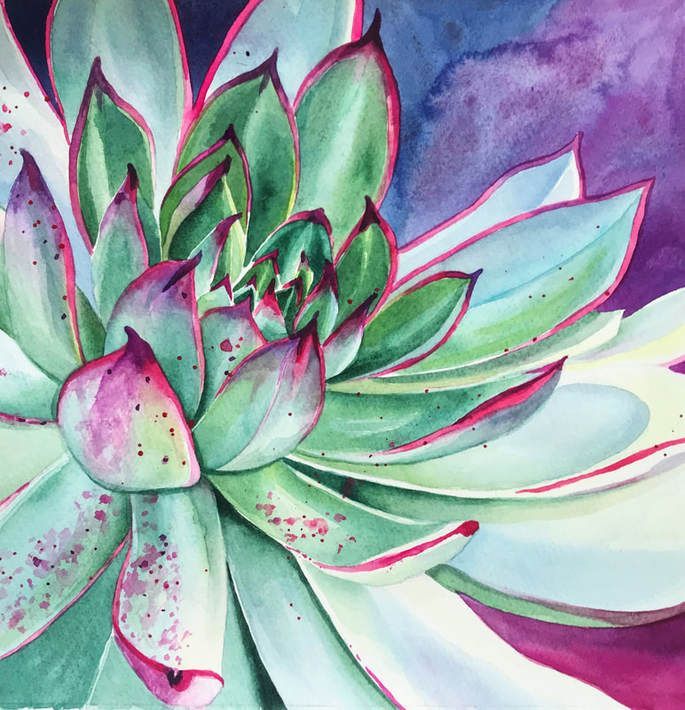 Home- Home Gorgeous succulent watercolor painting by Kelly …