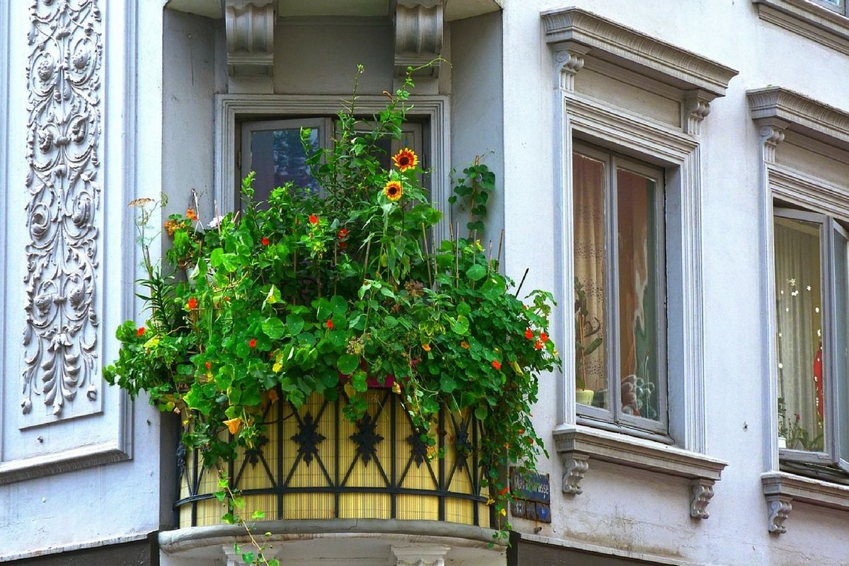 There are many beautiful garden solutions and designs for properties