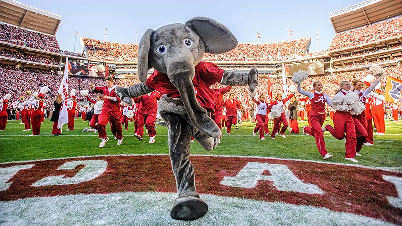 The Abcs You Must Know If You Attend The University Of Alabama