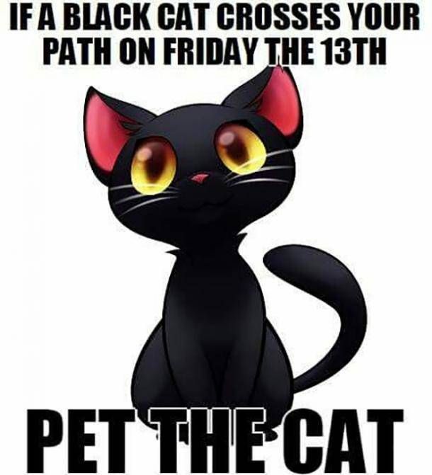 Friday The 13th Memes, Happy Friday The 13th, Funny Friday, Crazy Cat ...