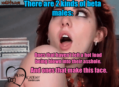 Jenna haze bob that head Chat sex now free net without regester
