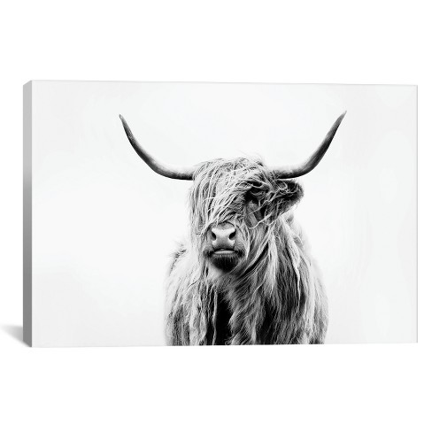 Highland Cow Print Target Google Search Highland Cow Art Cow Art Print Highland Cow Canvas