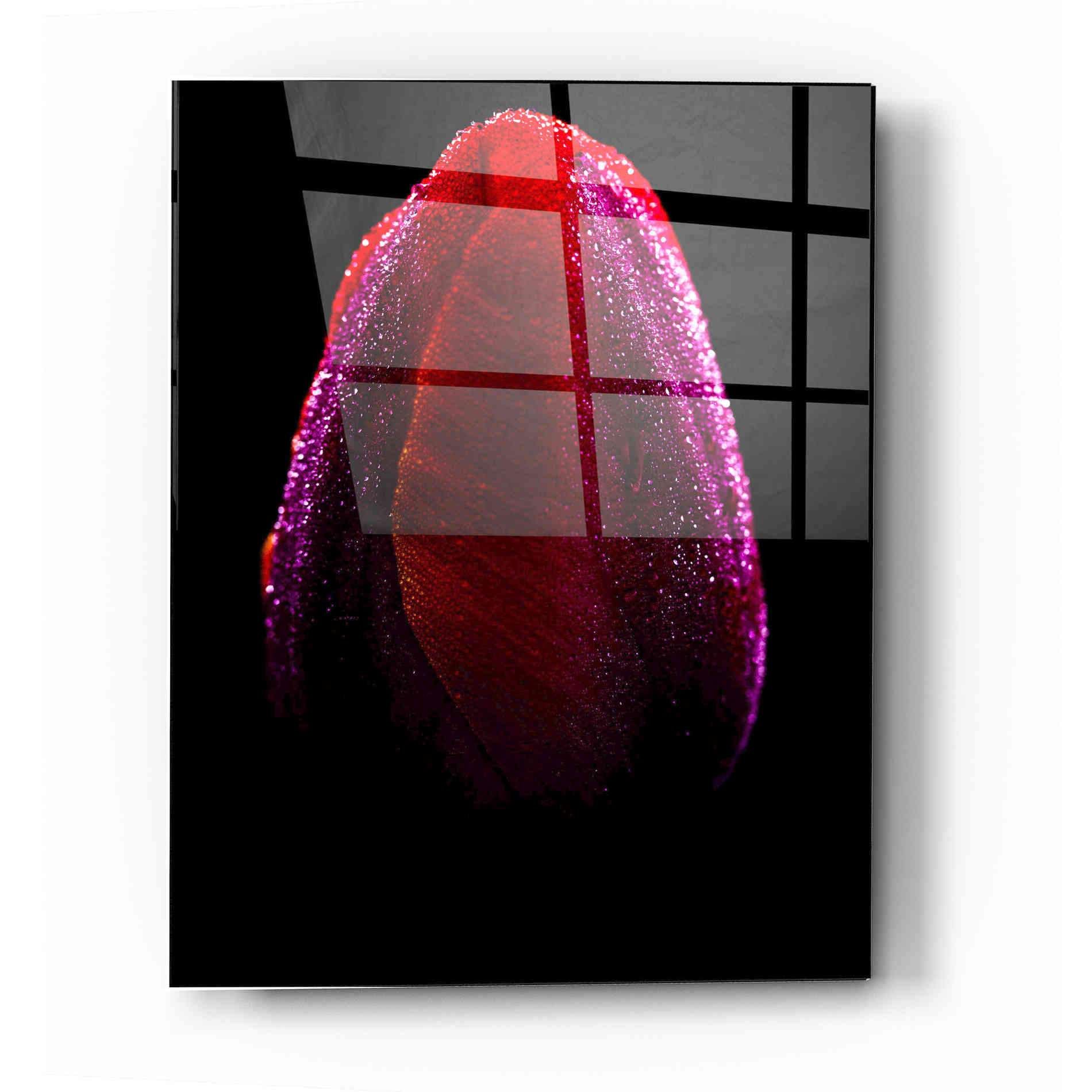 Epic Art Wet by Darren White, Acrylic Glass Wall Art - 12x16