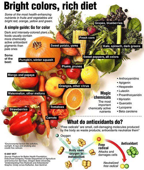 What Are The Differences Between Fruits And Vegetables Body Ecology Diet Gmo Free Food Eat The Rainbow