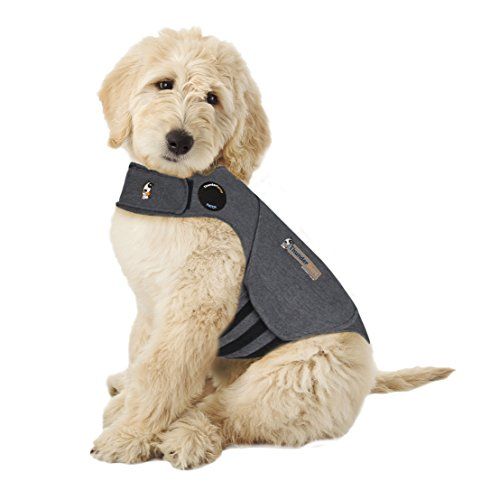 Pin On Dog Ebooks