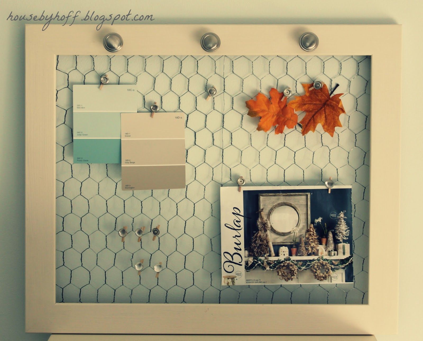 Chicken Wire Frame