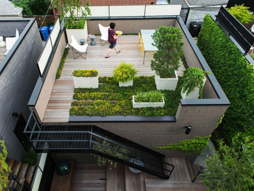 Turn Your Grey Space Green Pergola Front Garden Cool Plants