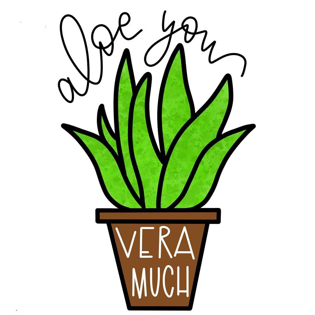 Pun Aloe Vera Lovers Gift Much-Funny Aloe Vera Lover Couple Pun Jokes Throw Pillow 18x18 Multicolor Pun Aloe Vera Lovers Gift Much-Funny Aloe Vera Lover Couple Pun Jokes Throw Pillow 18x18 Multicolor