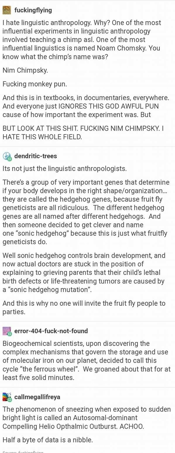 Funny Scientific Names For Things Funny PNG Funny Scientific Names For Things Funny PNG