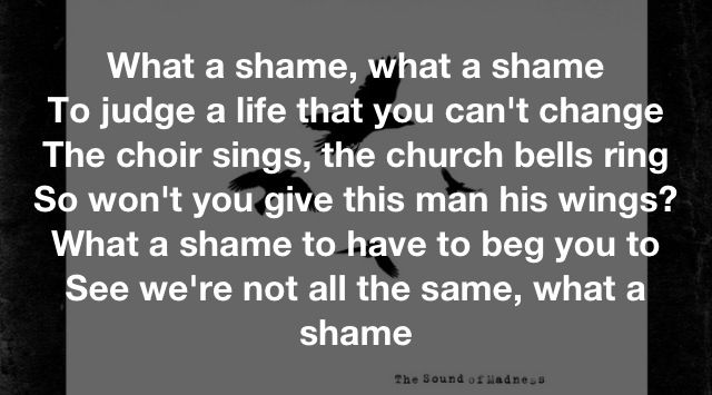 Shinedown What a Shame Song lyric quotes, Music lyrics, Song lyrics