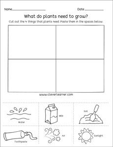 needs of plants kindergarten printable sheets plants