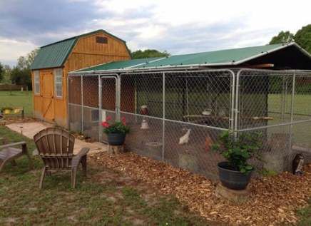 39 Ideas Backyard Dog Kennel Coops | Dog kennel chicken coop, Backyard