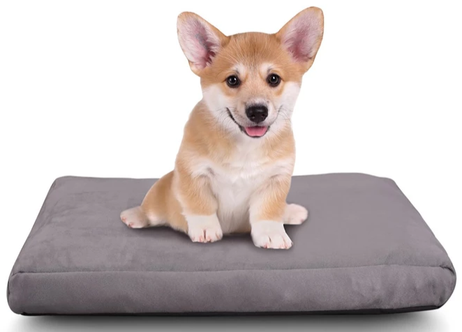 365 factory outlet coupon Soft Memory Foam Dog Bed + FREE Shipping 365 factory outlet coupon Soft Memory Foam Dog Bed + FREE Shipping