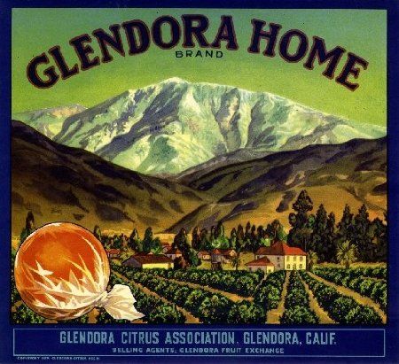 Fillmore Ventura County California Alamo Orange Citrus Fruit Crate Label Print