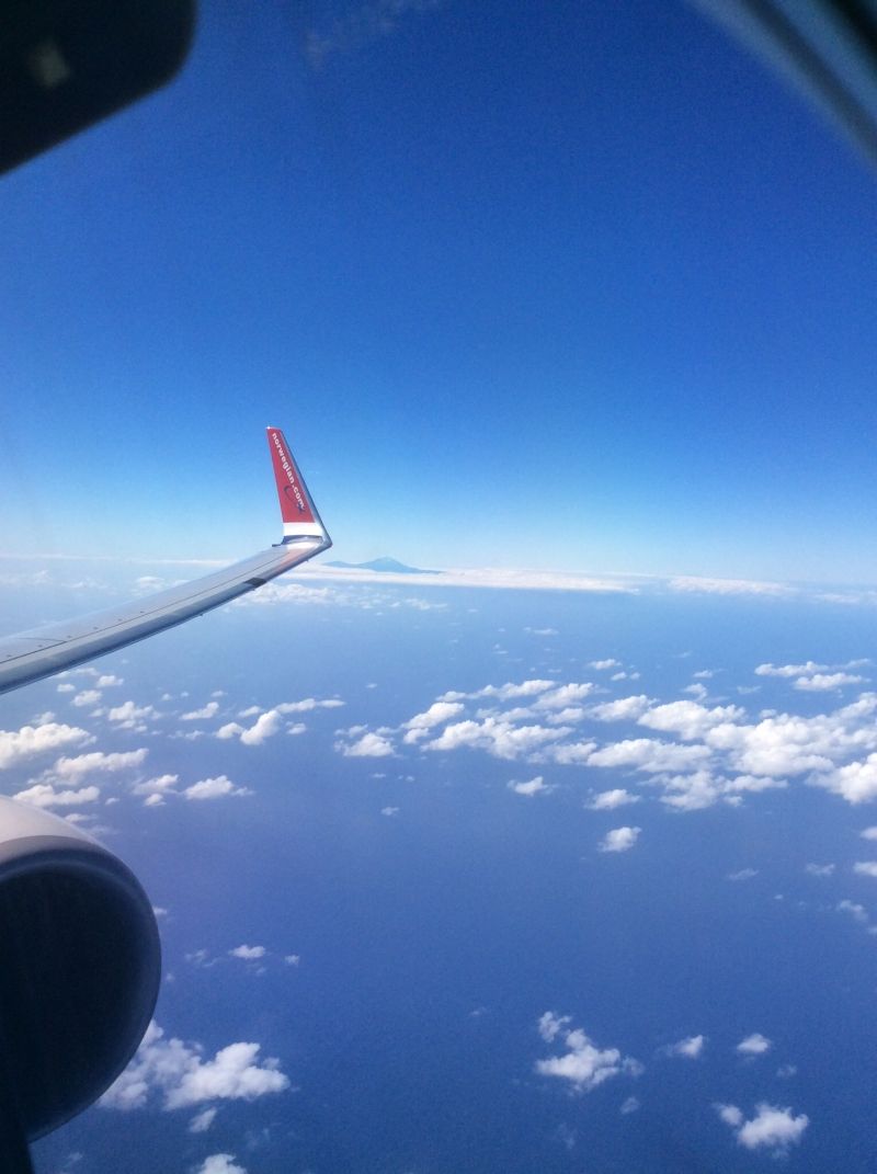 Norwegian Bewertung Norwegian Bewertung
