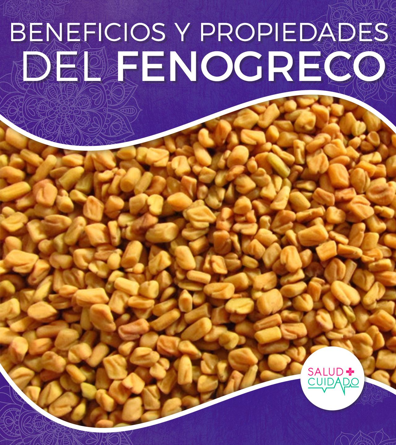 beneficios de semillas de fenogreco para la diabetes beneficios de semillas de fenogreco para la diabetes
