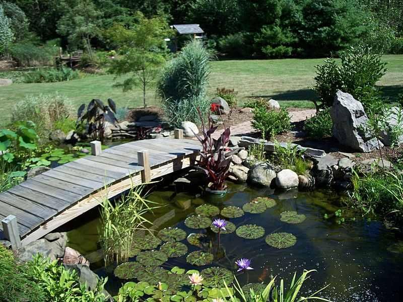 Amazing Backyard Pond Design Ideas Outdoor Inspiration Pinterest Amazing Backyard Pond Design Ideas - Amazing Backyard Pond Design Ideas Outdoor Inspiration Pinterest