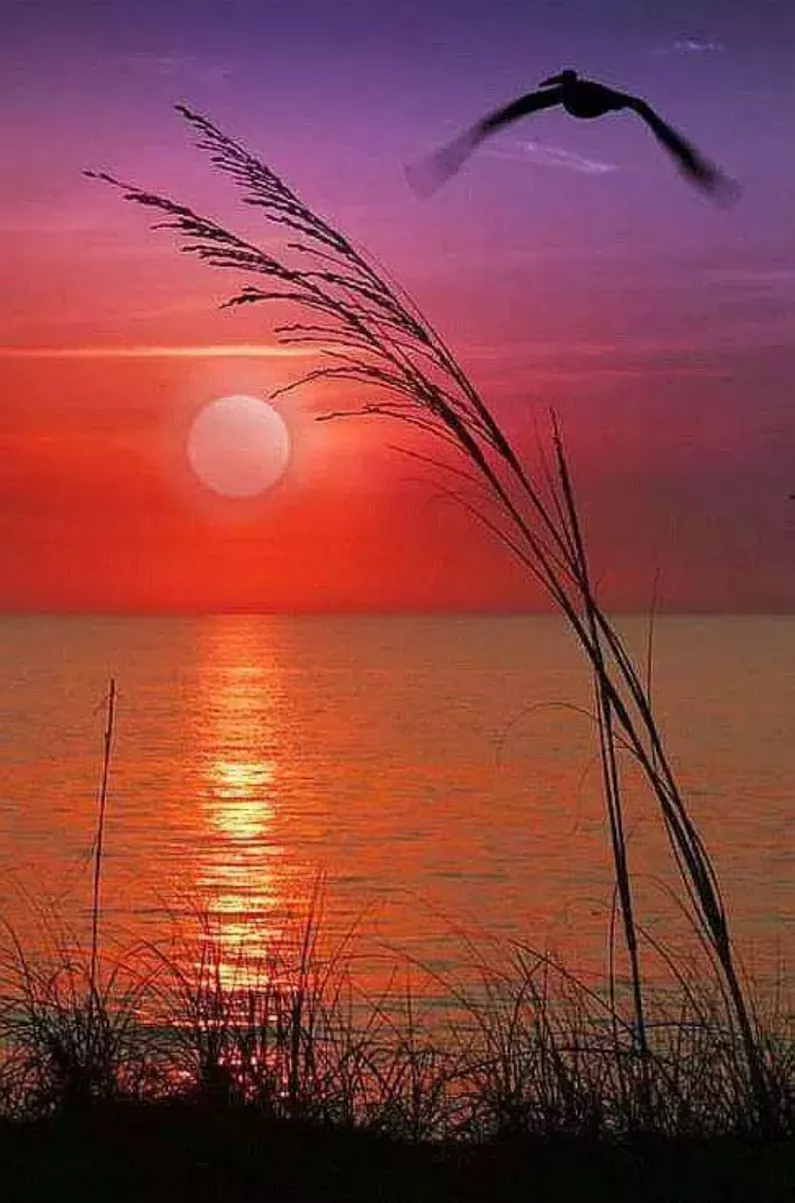 Outstanding Beautiful Sunrise Quotes Outstanding Beautiful Sunrise Quotes