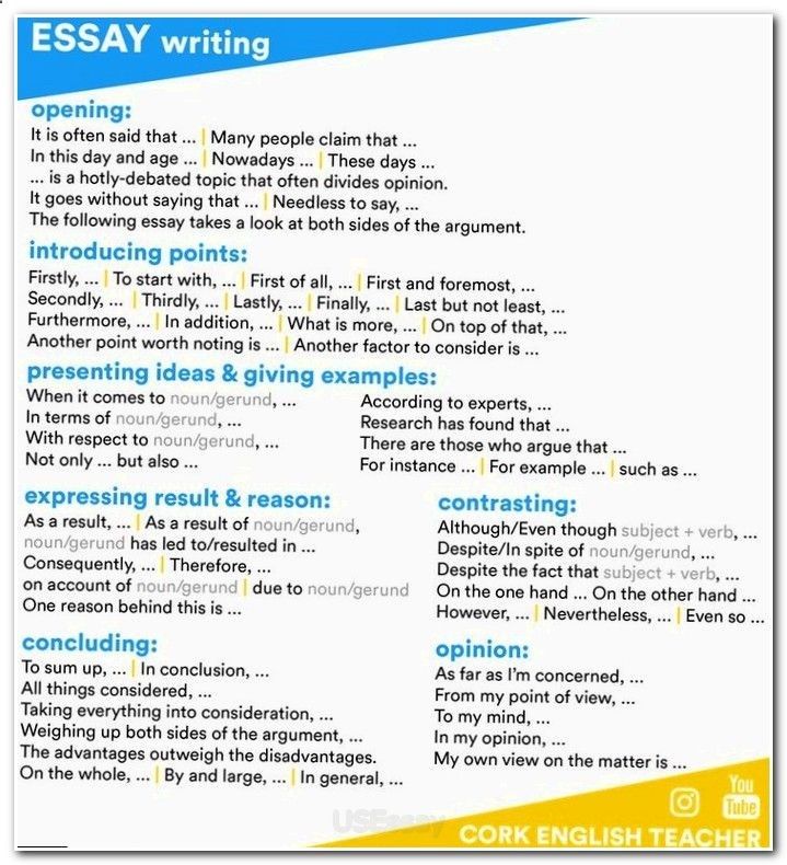 essay about body language definition synonym