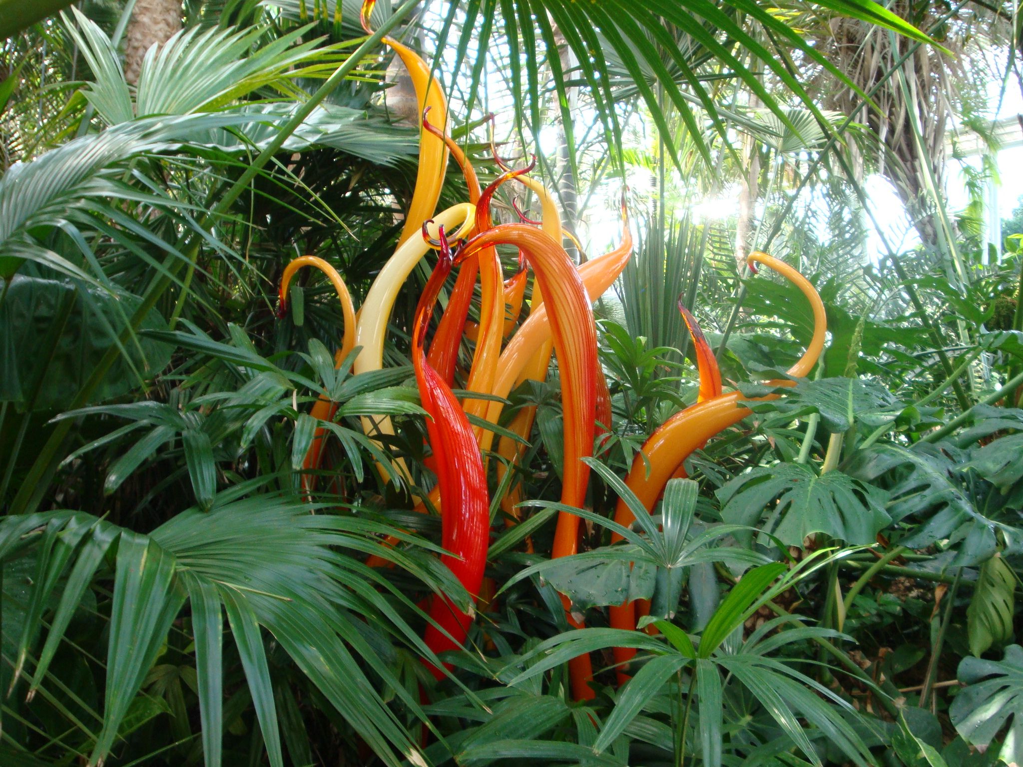 Glass Sculpture And Tropical Plants Hipps Conservatory In Pittsburgh Glass Sculpture And Tropical Plants Hipps Conservatory In Pittsburgh